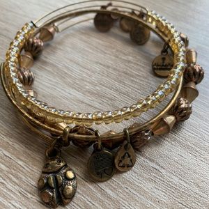 Alex and Ani Ladybug Set of Three Bangles